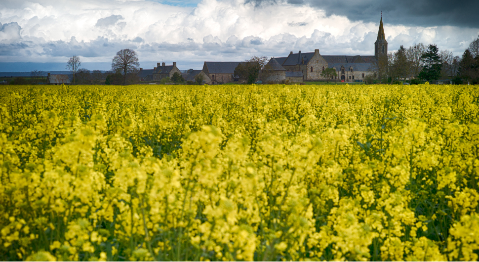Abbaye médiévale avec cour et paysage champêtre